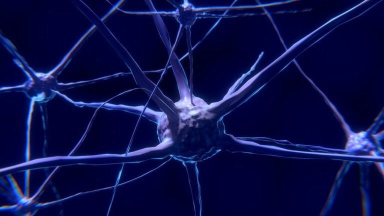 Understanding the “Organ of Learning” : Brain Science with Glenn Whitman